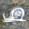 Figurine Escargot argenté - miniature variant 4