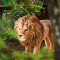 Figurine Lion or - miniature variant 6