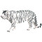 Figurine Tigre blanc - miniature