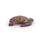 Figurine Tortue caouanne - miniature variant 1