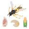 Figurine Abeille - miniature