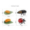 Figurine Coccinelle - miniature variant 7