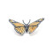 Figurine Papillon - miniature variant 4